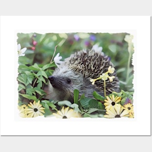 Hedgehog In Flowers Posters and Art